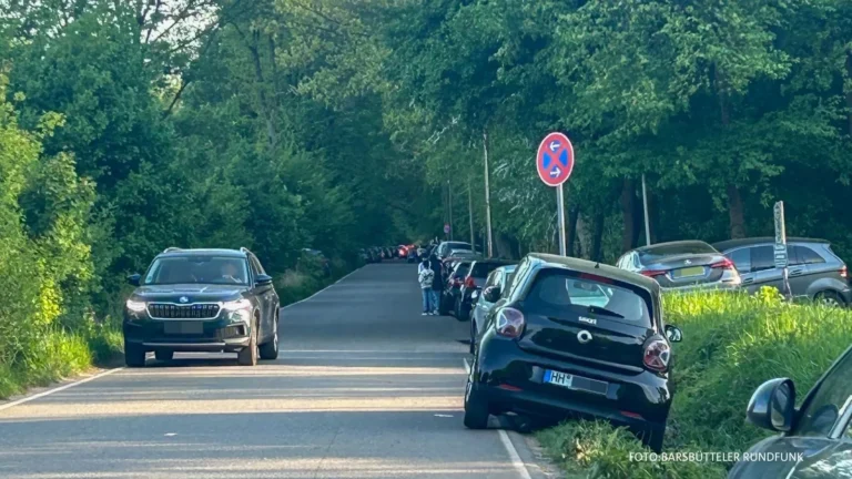 Feiertagsausflug im Ojendorfer Park sorgt für Verkehrschaos in Hamburg: Tausende Besucher strömen ins Naturschutzgebiet