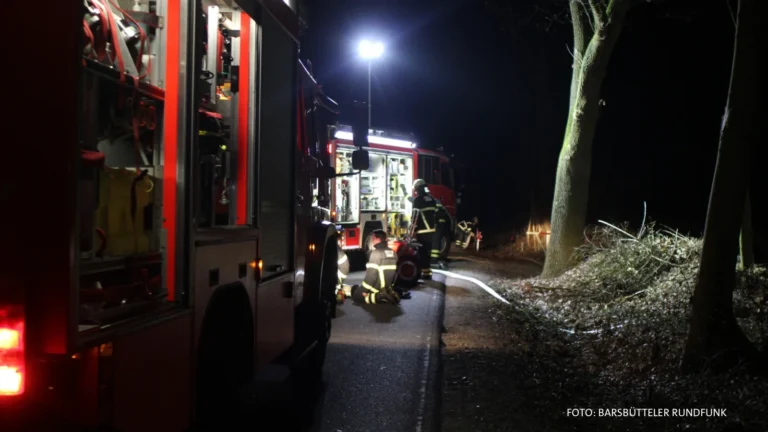 Brand in der Kleingartenanlage im Öjendorfer Park: Autofahrer bemerken die Flammen