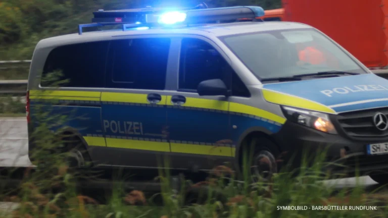 Tödlicher Unfall bei Reinbek: Frau stirbt auf der A24 unter Autobahnbrücke